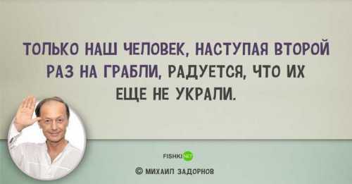 вы только посмотрите, что вытворяют детеныши слонов умилению нет предела