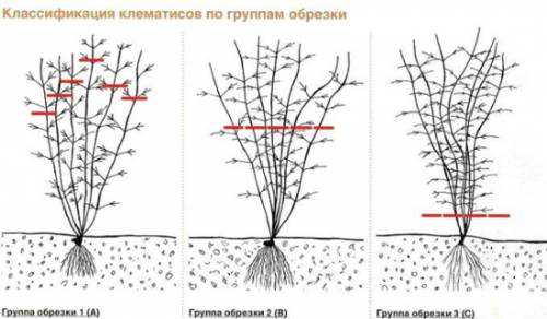 как провести выходные в санкт